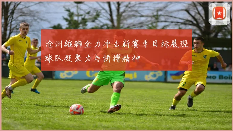 沧州雄狮全力冲击新赛季目标展现球队凝聚力与拼搏精神