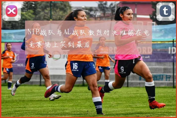 NIP战队与AL战队激烈对决谁能在电竞赛场上笑到最后