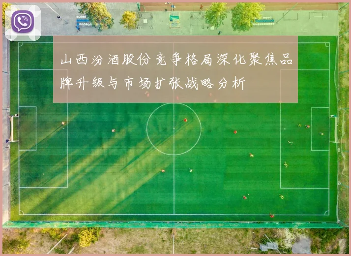 山西汾酒股份竞争格局深化聚焦品牌升级与市场扩张战略分析