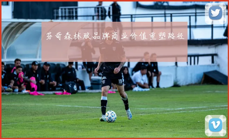 芬奇森林狼品牌商业价值重塑路径