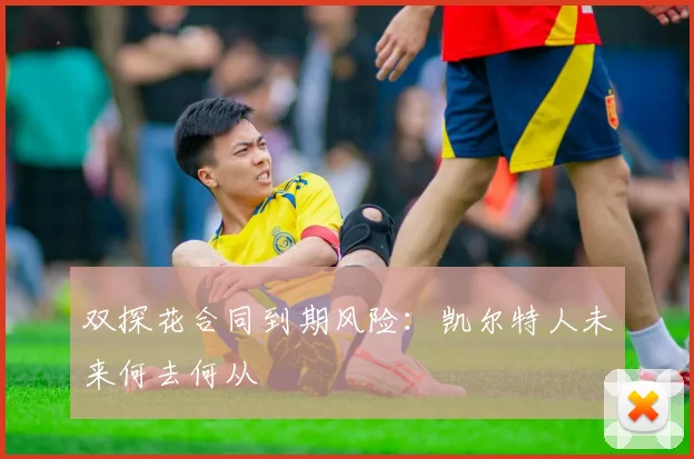 双探花合同到期风险：凯尔特人未来何去何从