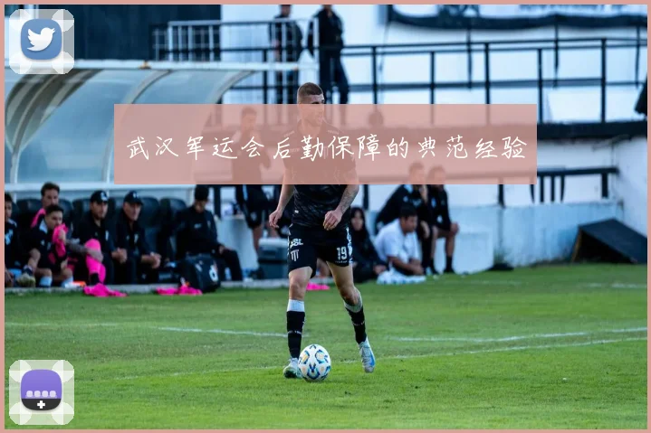 武汉军运会后勤保障的典范经验